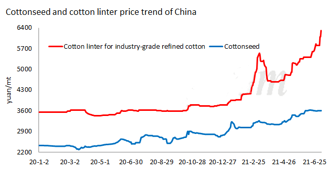 HPMC(hydroxypropyl methyl cellulose) Price Increase