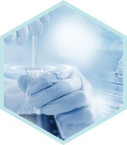 SUPORTE TÉCNICO, produto customizado de acordo com os requisitos dos clientes.