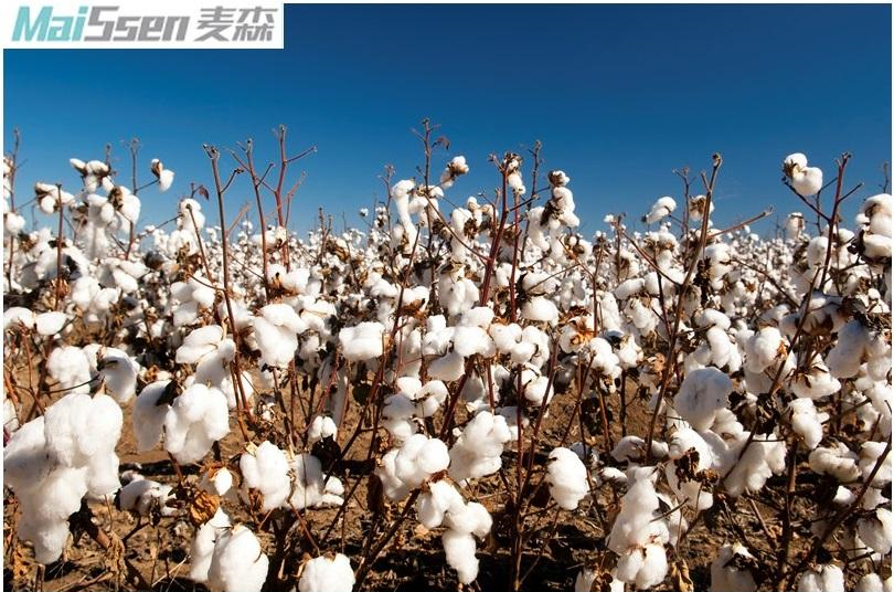 HPMC(hydroxypropyl methyl cellulose) Price Increase